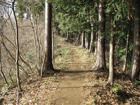 20161229hike (98)